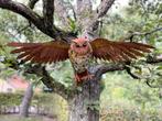 sculptuur, Schitterende uil - Oehoe - Spanwijdte 96 cm -