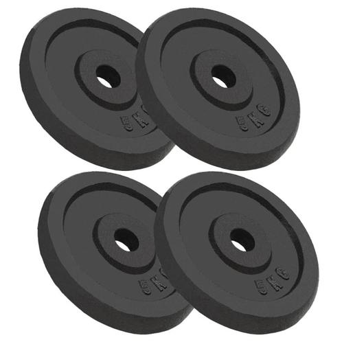 vidaXL Plaque de poids 4 pcs 4x5 kg Fonte, Sports & Fitness, Équipement de fitness, Neuf, Envoi