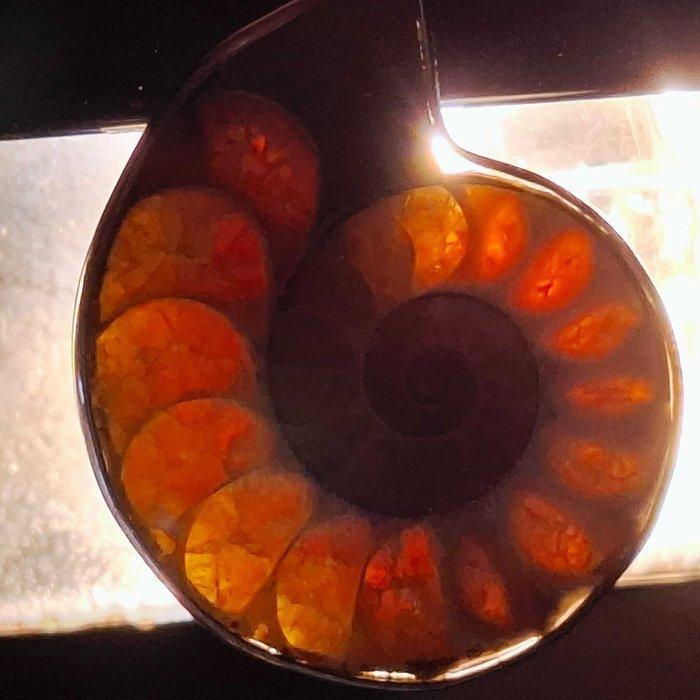 Gelamineerd zilver. - Hanger - Ammoniet fossiel., Antiek en Kunst, Curiosa en Brocante