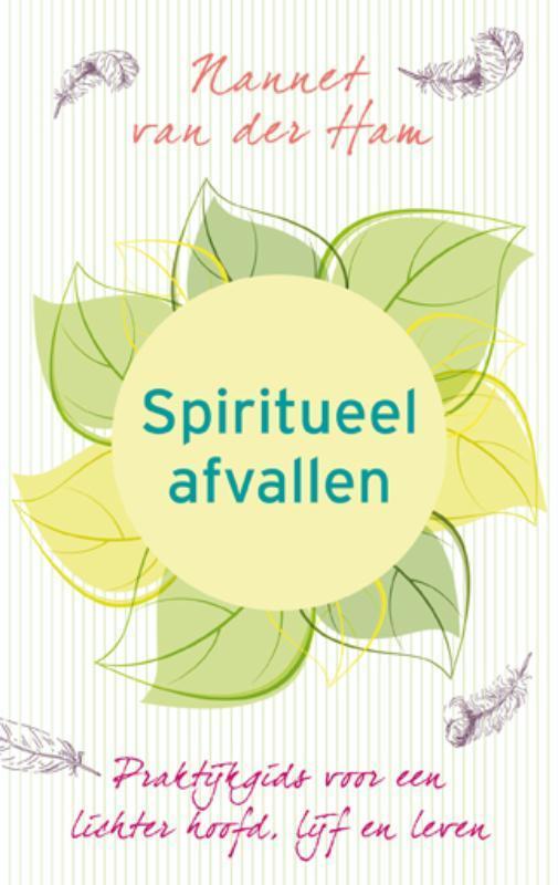 Spiritueel afvallen 9789025901684 Nannet van der Ham, Boeken, Esoterie en Spiritualiteit, Zo goed als nieuw, Verzenden