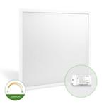 LED Paneel 60x60cm DIMBAAR 40W 4200lm Eco Serie Netstroom, Huis en Inrichting, Lampen | Overige, Verzenden, Nieuw