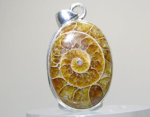 Ammoniet Hanger - Hoogte: 30 mm - Breedte: 20 mm- 7.81 g -, Verzamelen, Mineralen en Fossielen