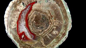 Agate Thunderegg La Dent - Esterel, Var, France - Hauteur