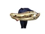 Beeld, XXL - 105cm - Bronze Crocodile Skull + Base - 57 cm -, Antiquités & Art