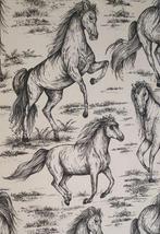 Uitsluitend ruiterweefsel met snel te paard in zwart-wit -