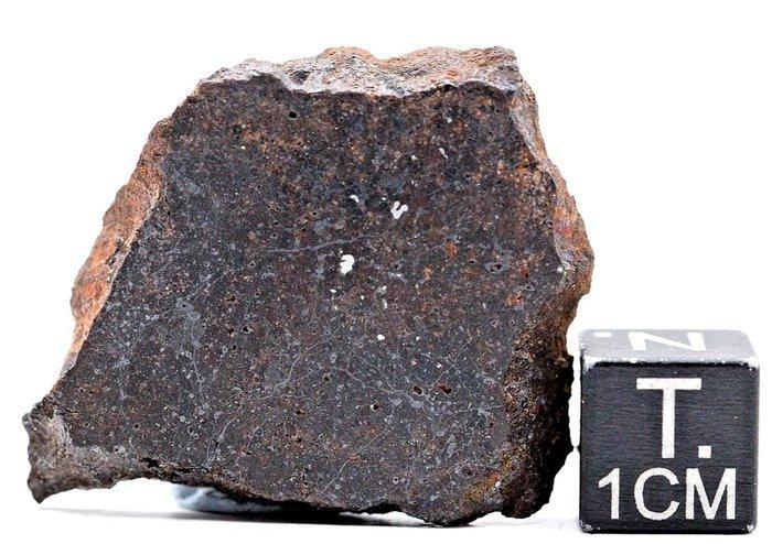 NWA 17078 Niet-gegroepeerde achondriet ultramafisch, extreem, Verzamelen, Mineralen en Fossielen