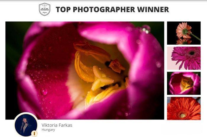 Viktoria Farkas - SSA Awakening in Pink - Fine Art Premium, Antiquités & Art, Art | Objets design