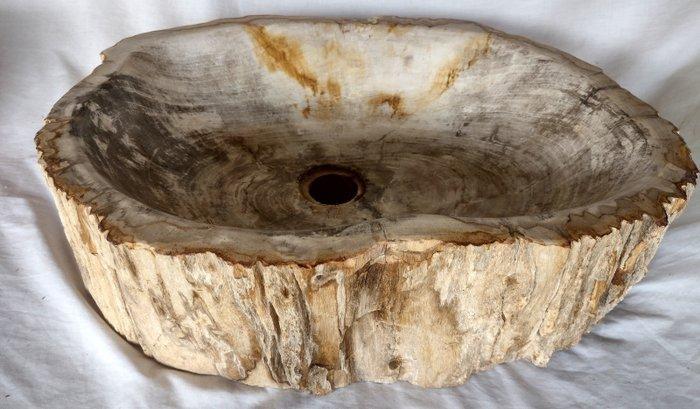Waskom - Versteend hout - wasbak, Antiek en Kunst, Curiosa en Brocante