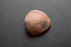 Oud-Romeins, Keizerrijk Terracotta Ticket voor het oude