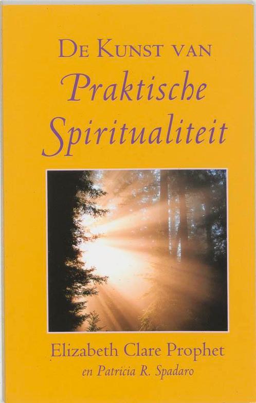 De Kunst Van Praktische Spiritualiteit 9789080532670, Boeken, Esoterie en Spiritualiteit, Zo goed als nieuw, Verzenden