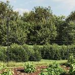 vidaXL Draadgaashek met grondankers 1,6x25 m, Verzenden, Nieuw