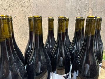 2019 Ellwanger SL Spätburgunder - Baden - 12 Flessen (0.75
