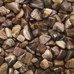 Geen veiling - Verstenen hout - Gepolijste stenen AAA Lot- 2, Verzamelen