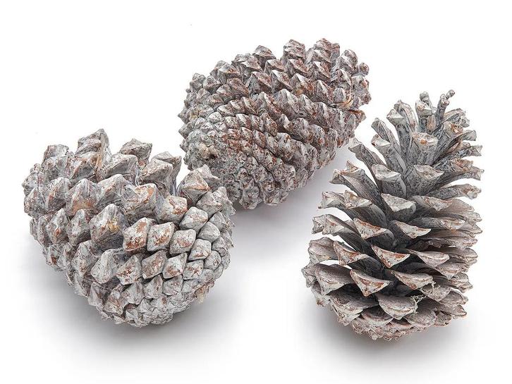 Dennenappels maritima grote dennenappel frosted 12cm 12, Huis en Inrichting, Woonaccessoires | Kunstplanten en Kunstbloemen, Nieuw