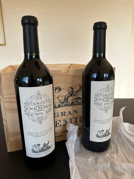 2018 Gran Enemigo - Mendoza - 2 Flessen (0.75 liter), Verzamelen, Wijnen