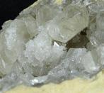 Eerste kwaliteit Celestina -- Kristallen in geode - Hoogte: