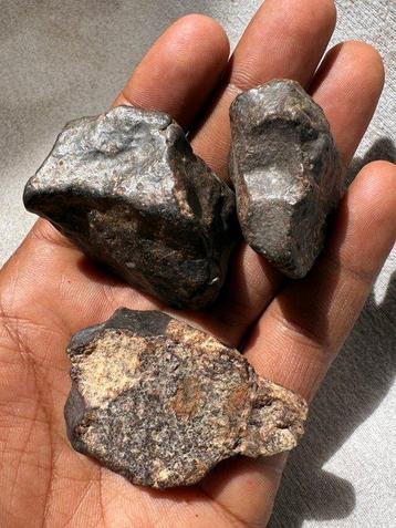 Collection de météorites chondrites non classées NWA xxx -