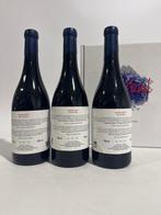 2019 Bodega Malvajio, Caníbal - Wijn van Mijas, DO Costa del