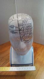 Phrenology - Céramique, Porcelaine, Antiquités & Art