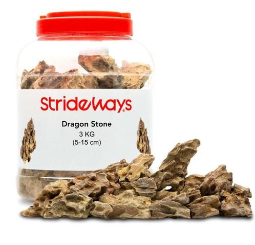 Strideways Dragon Stone Bottle, Animaux & Accessoires, Poissons | Aquariums & Accessoires, Envoi