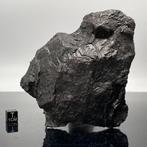 SINT AUBIN Beroemde FRANSE meteoriet, Coheniet - 1.54 kg