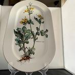 Villeroy & Boch - Plateau - Botanique - Porcelaine