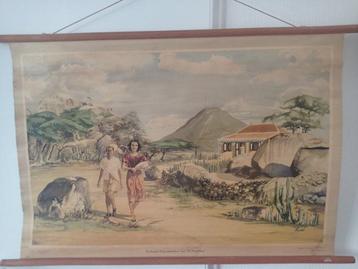 Carte scolaire - Arubaans Koenoekoehuis met de Hooiberg -