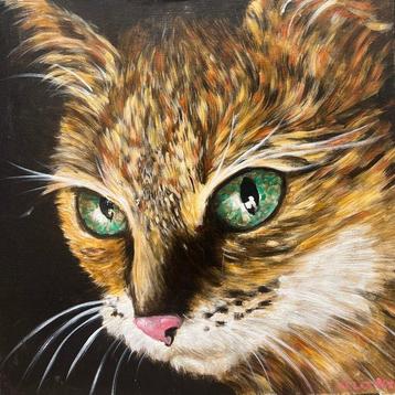 Felix (XXI) - Cat