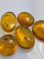 Birmese barnsteen - Barnsteen, Verzamelen, Mineralen en Fossielen