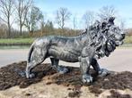 Beeld, Beeld, 60 cm long statue of silver bronze  lion - 32, Antiquités & Art