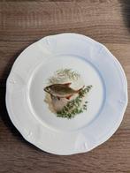 Limoges - Assiette - Porcelaine - Six plats de poisson, Antiquités & Art