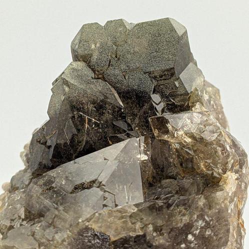 QUARZITE FUMÉE PLATE avec CLORITE VERTE, Mont Blanc Cristaux, Verzamelen, Mineralen en Fossielen