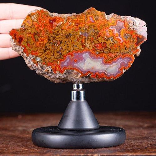 Belle dalle dagate polie - Red Agate Nodule. - 161×160×52, Collections, Collections Animaux