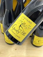 2024 Vincent Gaudry Sauvignon GaudryOlle - Loire - 12, Nieuw