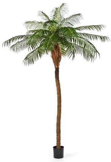 Kunstplant Phoenix Palmboom Deluxe 280 cm, Verzenden