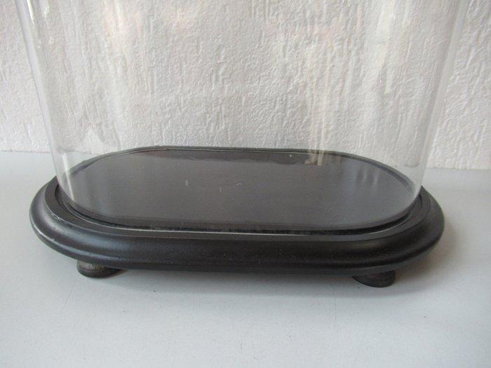 Stolp - Glas en hout - 1900-1910, Antiek en Kunst, Antiek | Overige Antiek