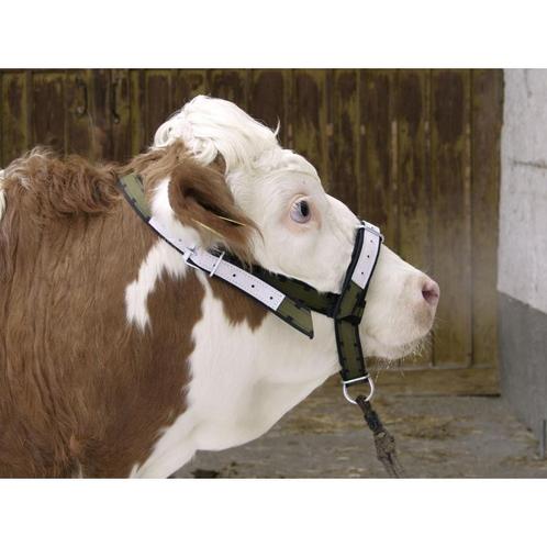 Stabiel koehalster, compleet - kerbl, Dieren en Toebehoren, Stalling en Weidegang