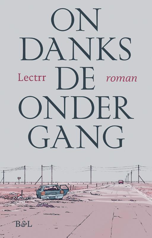 Ondanks de ondergang 9789463935210 Lectrr, Boeken, Romans, Gelezen, Verzenden