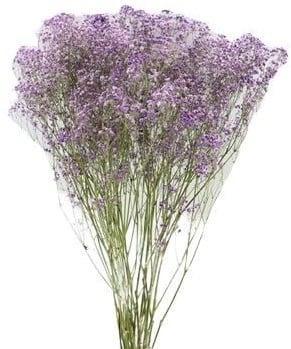 Gips Lila Gipskruid 70 cm in hoes, Huis en Inrichting, Woonaccessoires | Kunstplanten en Kunstbloemen, Nieuw