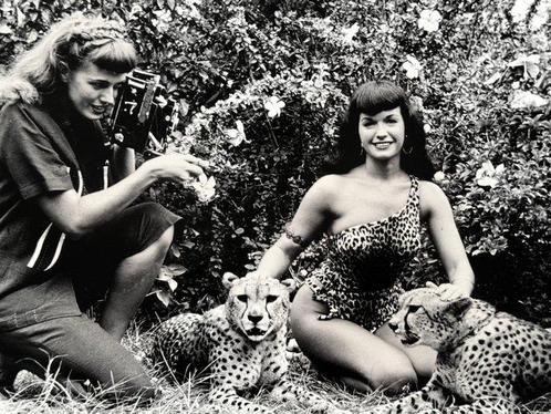 Bunny Yeager (1929-2014) - The photographer Bunny Yeager, Antiek en Kunst, Kunst | Schilderijen | Modern