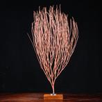 Topkwaliteit - Rood Gorgonia - Natuurlijk rood maritiem, Verzamelen, Nieuw