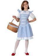 Wizard of oz, dorothy kostuum, Nieuw, Ophalen of Verzenden