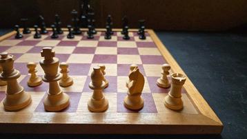 Schaakspel - Staunton schaakstukken - Free shipping - Hout beschikbaar voor biedingen