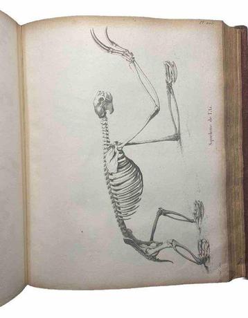 CUVIER Georges - Recherches sur les ossemens fossiles - 1836