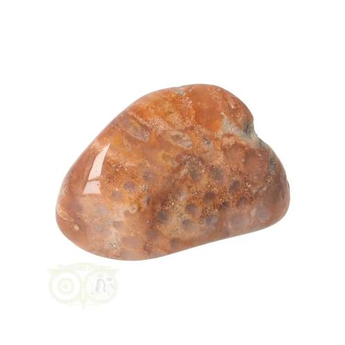 Fossiel Koraal trommelsteen Nr 25 - 23 gram, Handtassen en Accessoires, Edelstenen, Nieuw, Verzenden