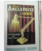 Herbert Terry & Sons - George Carwardine - Lampe de bureau -