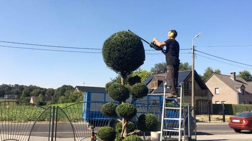 Création et entretien despace vert , aménagement jardin, Diensten en Vakmensen, Tuinmannen en Stratenmakers, Garantie