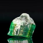 Levendig groen smaragd-kristal • 3,40 ct • Diepe kleur &