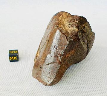 Niet-geclassificeerde NWA meteoriet Chondrite meteoriet -