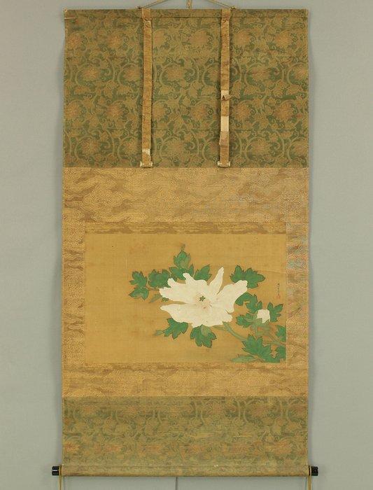 White Peony with Box - Kano Seisenin Osanobu, Antiek en Kunst, Antiek | Overige Antiek